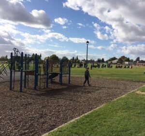Soccer Field image 2