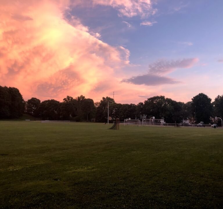 Soccer Field image 3