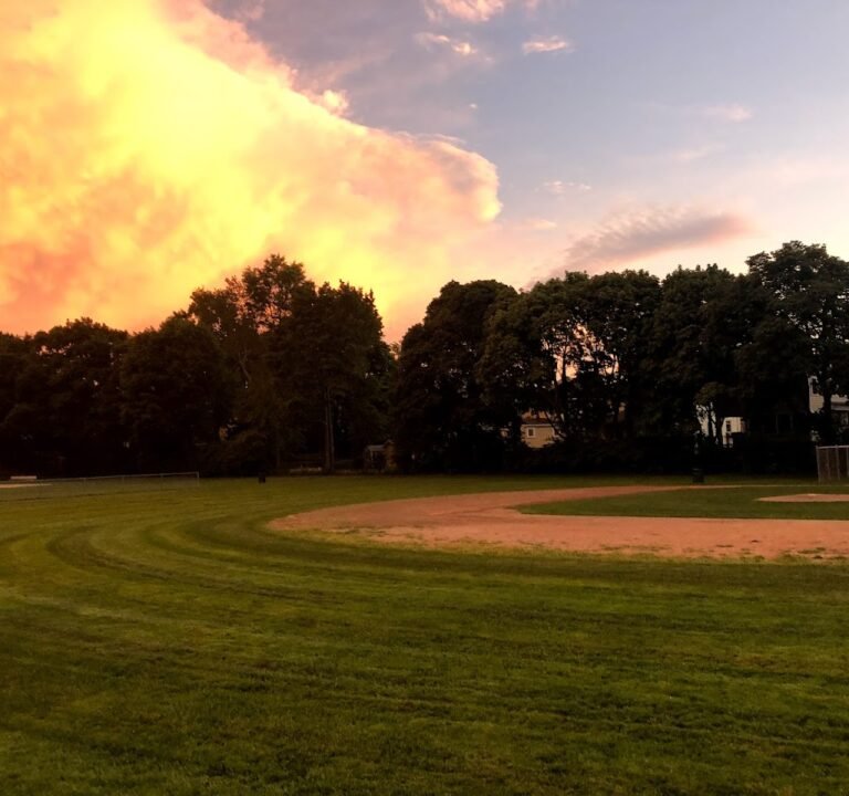 Soccer Field image 2