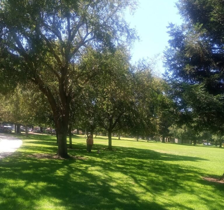 Soccer Field image 2