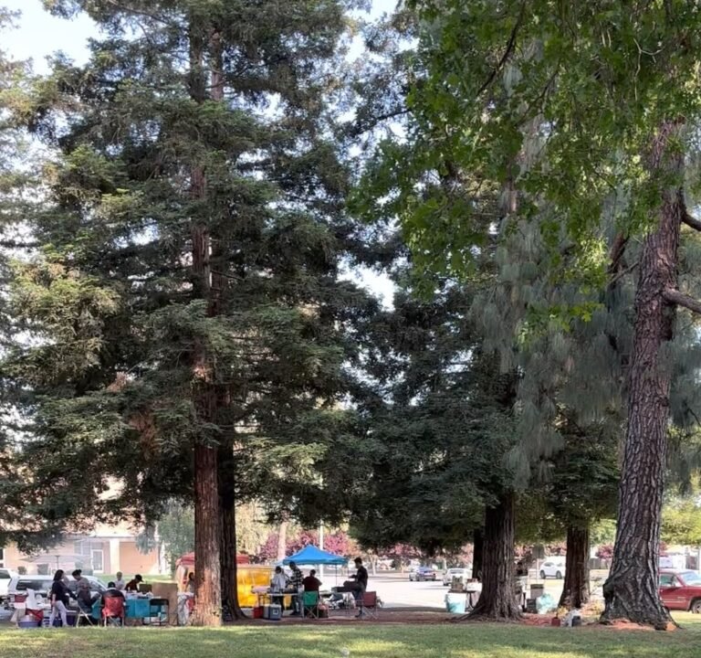 Soccer Field image 4