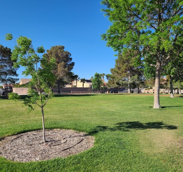 Soccer Field image 2