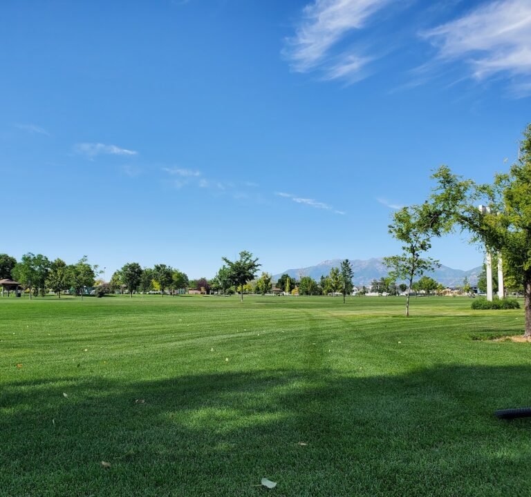 Soccer Field image 2