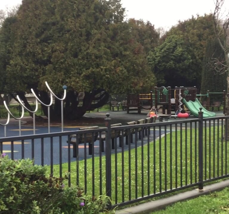 Soccer Field image 3