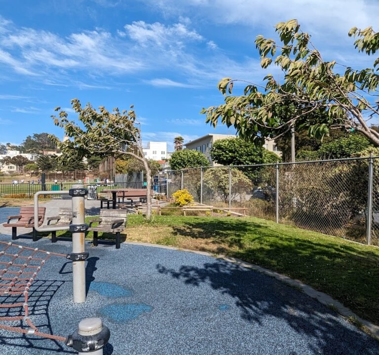 Soccer Field image 2