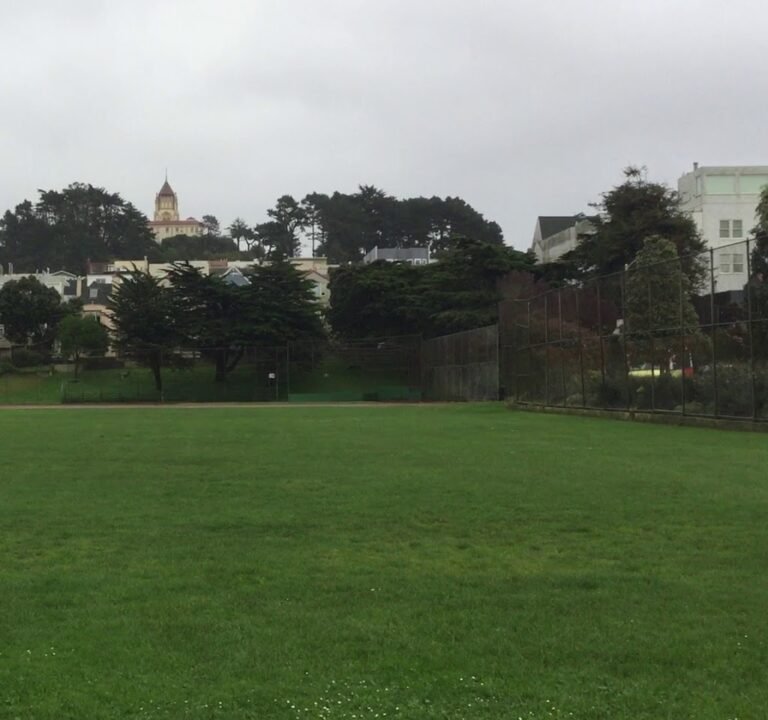 Soccer Field image 4