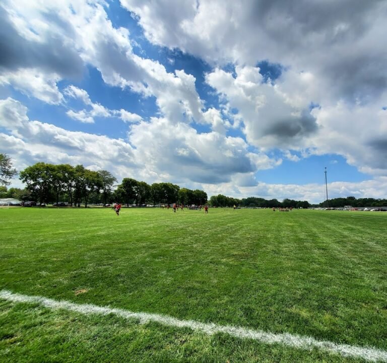 Soccer Field image 2