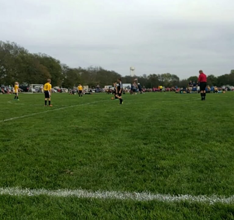 Soccer Field image 3