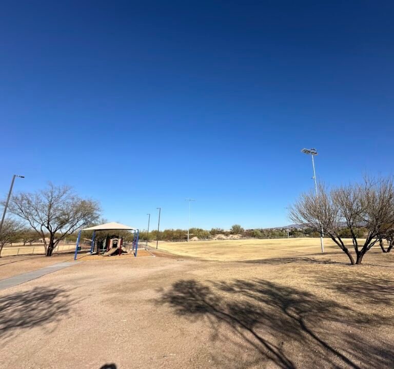 Soccer Field image 3