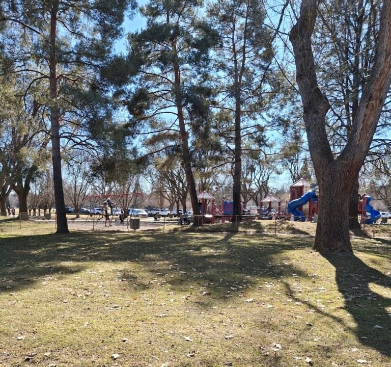 Soccer Field image 3