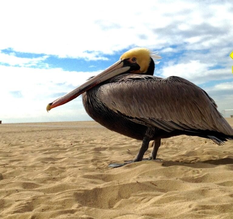 Soccer Field image 2