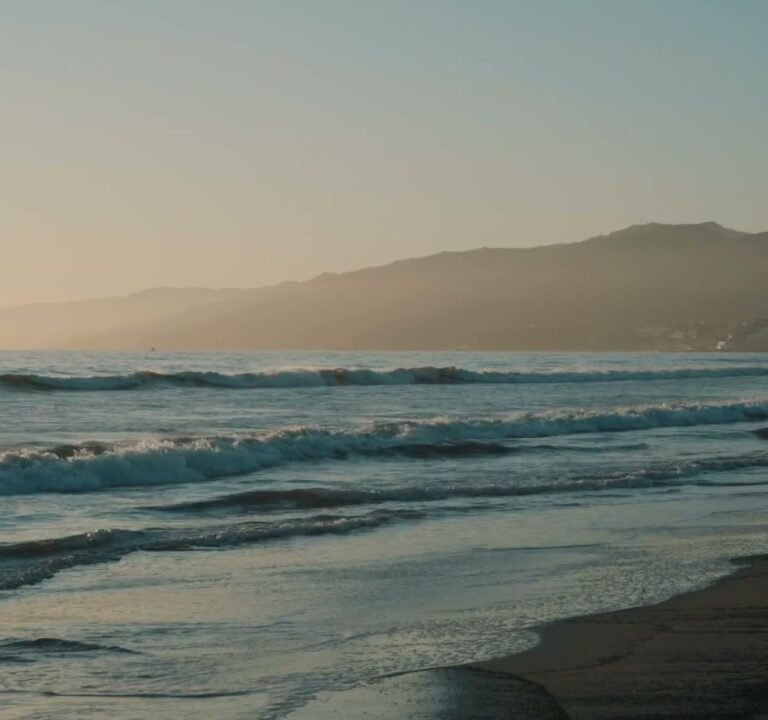 Soccer Field image 3