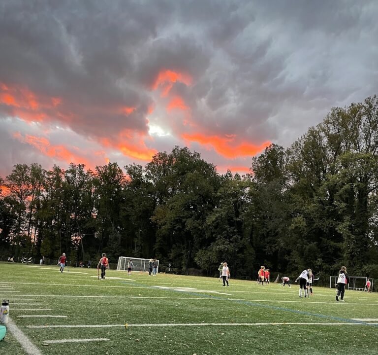 Soccer Field image 2
