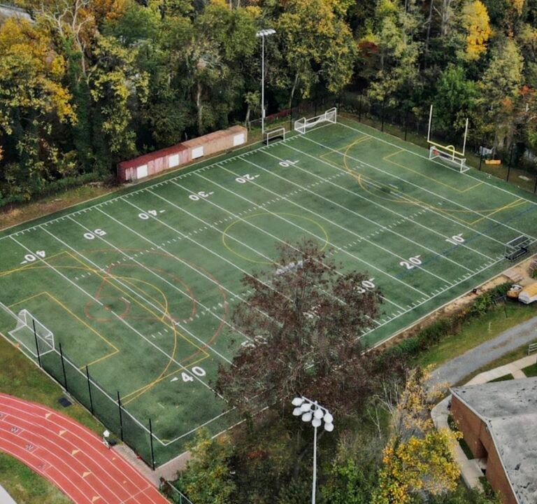 Soccer Field image 3