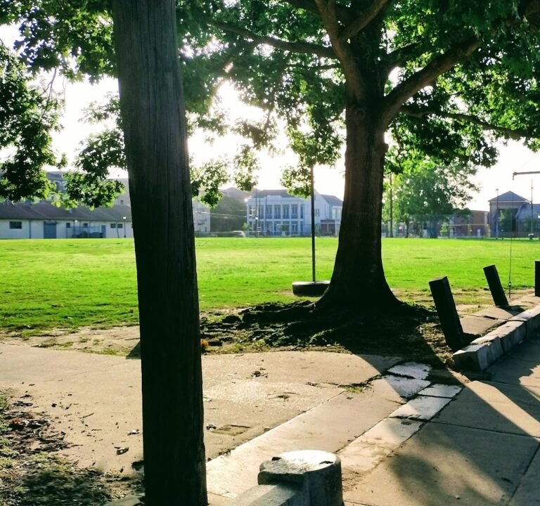 Soccer Field image 2