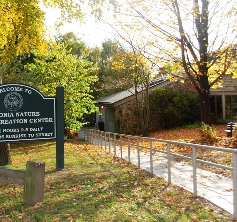 Soccer Field image 2