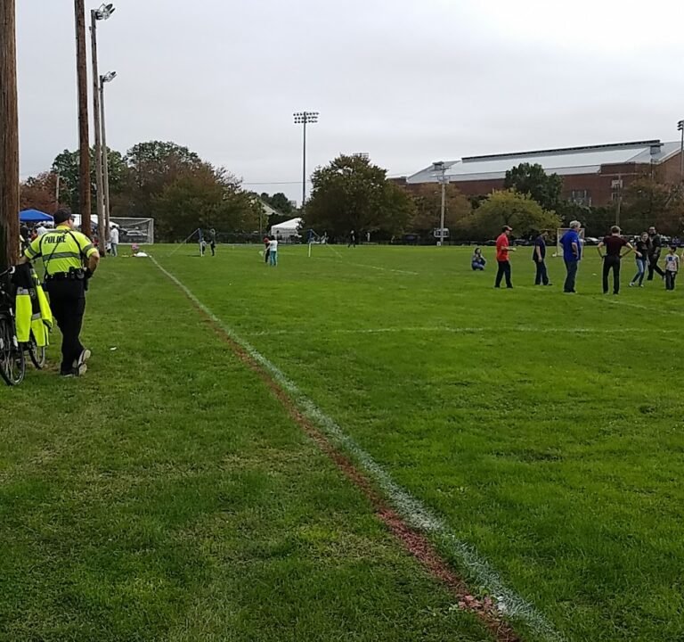 Soccer Field image 2