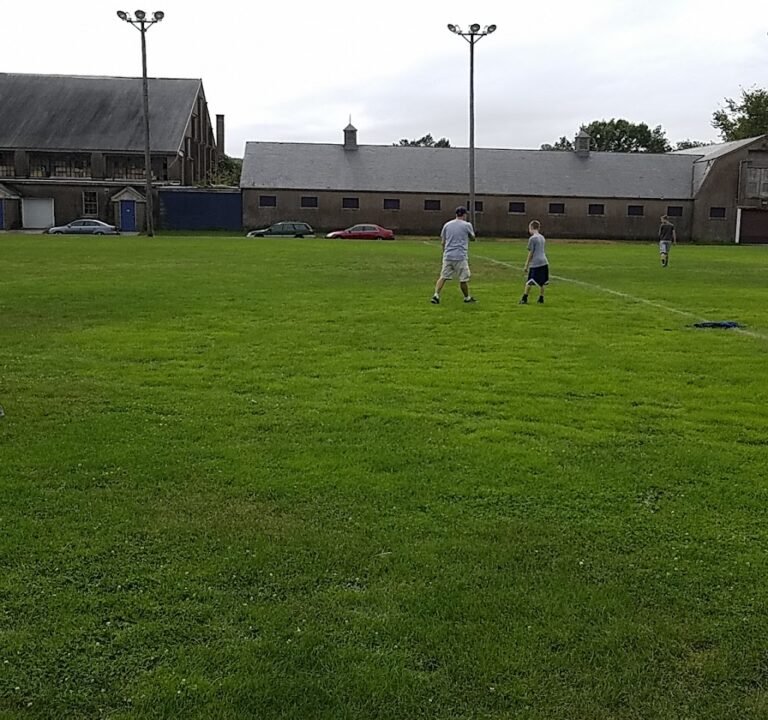 Soccer Field image 3