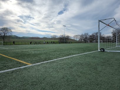 Soccer Field image 1