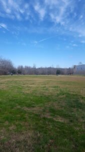 Soccer Field image 1