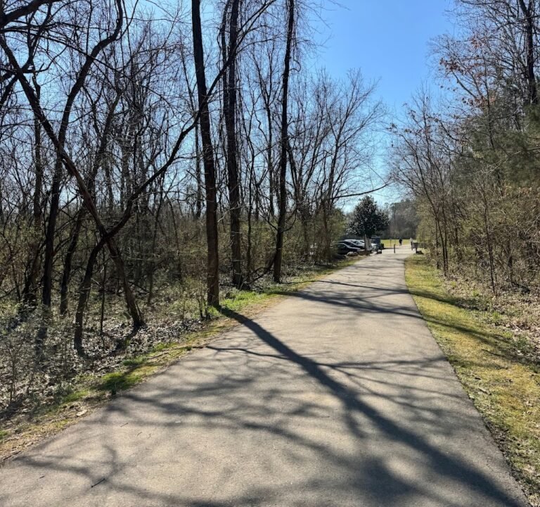 Soccer Field image 3