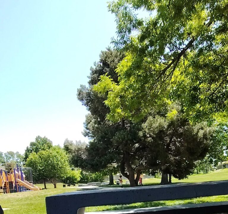 Soccer Field image 4