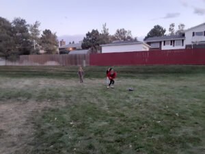 Soccer Field image 1