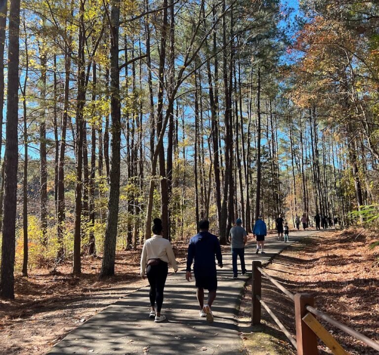 Soccer Field image 2
