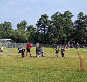 Soccer Field image 2