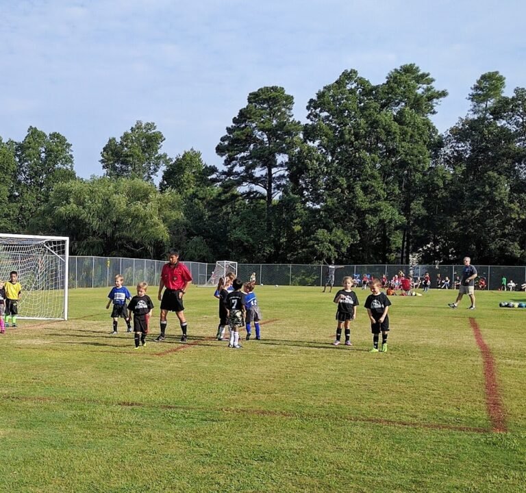 Soccer Field image 2