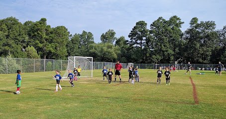 Soccer Field image 1