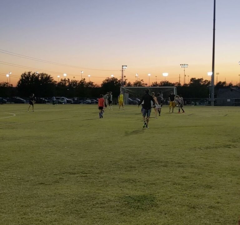 Soccer Field image 4