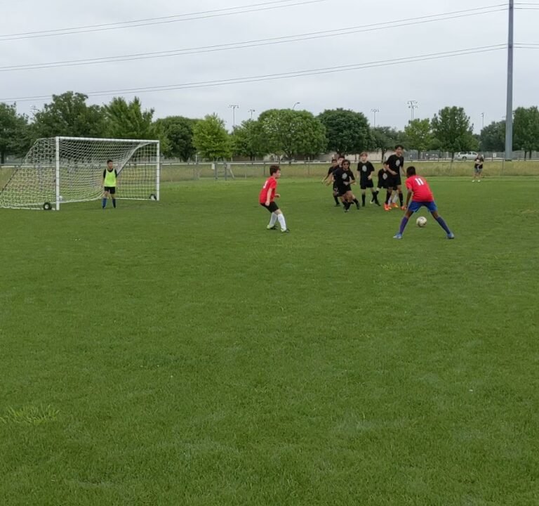 Soccer Field image 2