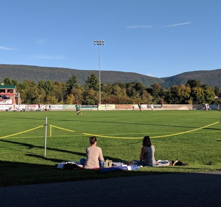 Soccer Field image 2