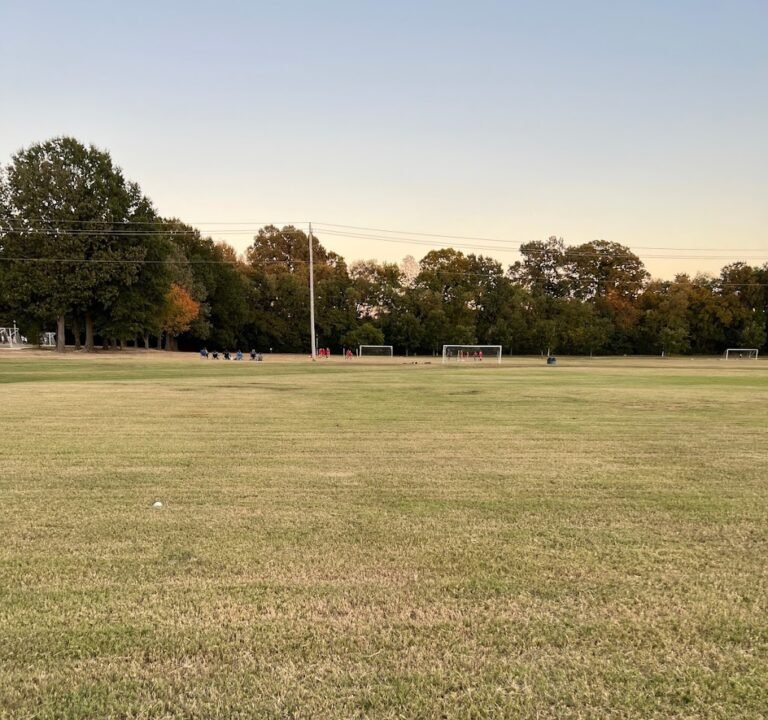 Soccer Field image 2