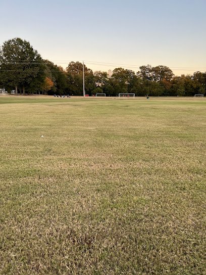 Soccer Field image 1