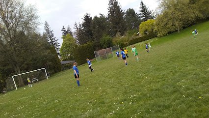Soccer Field image 1