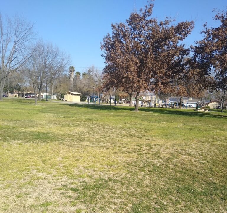 Soccer Field image 2
