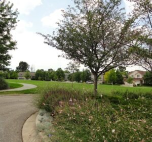 Soccer Field image 3