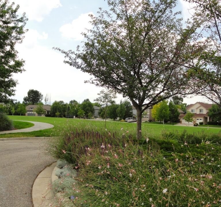 Soccer Field image 3