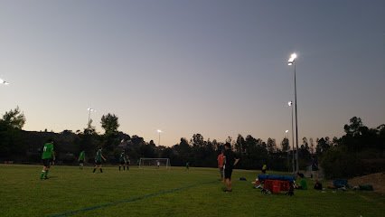 Soccer Field image 1