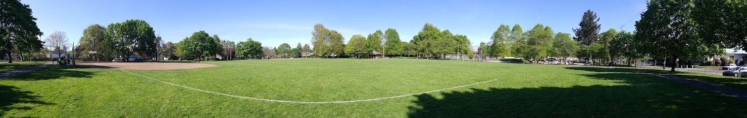 Soccer Field image 1