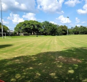 Soccer Field image 2
