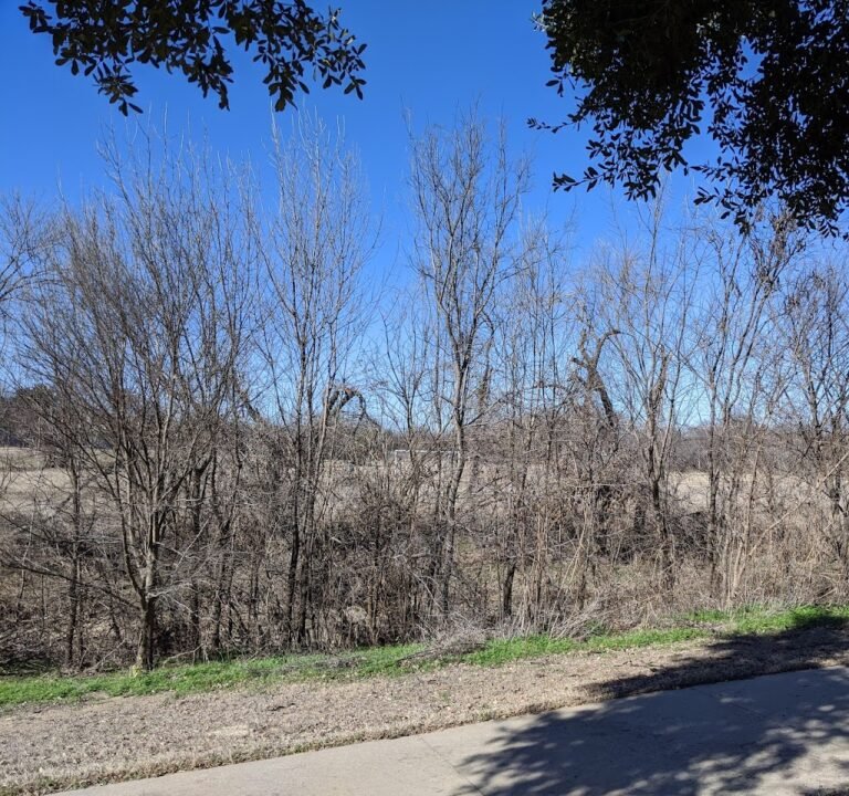 Soccer Field image 2