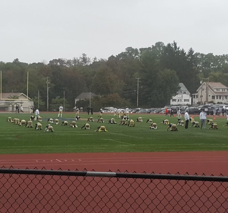 Soccer Field image 3