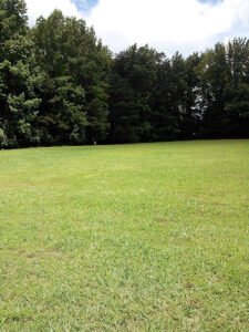 Soccer Field image 1