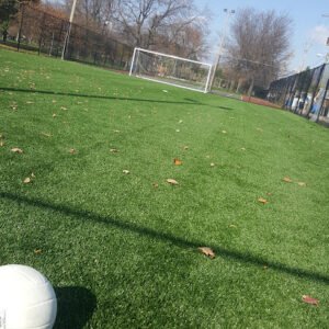Soccer Field image 1