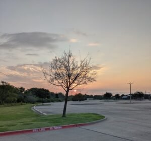 Soccer Field image 3