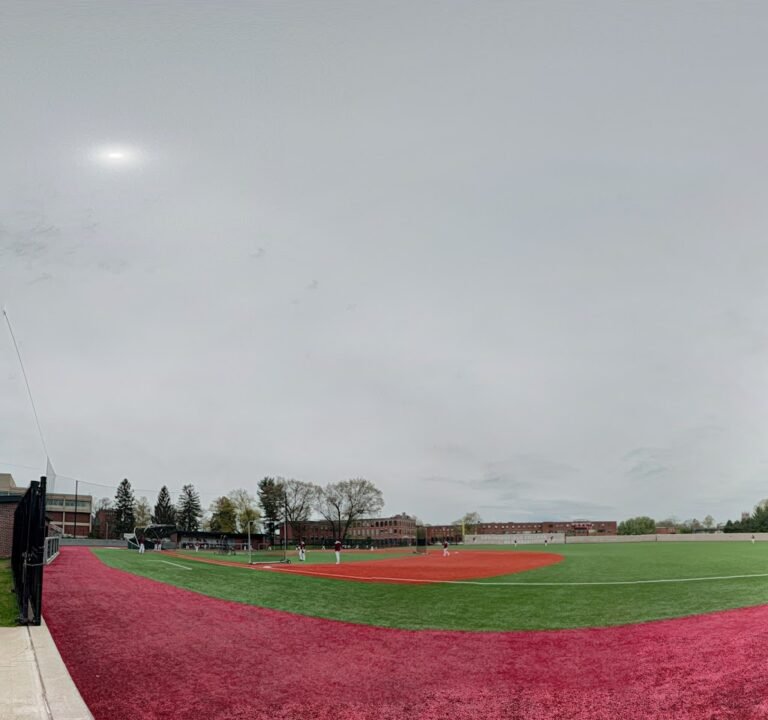 Soccer Field image 2