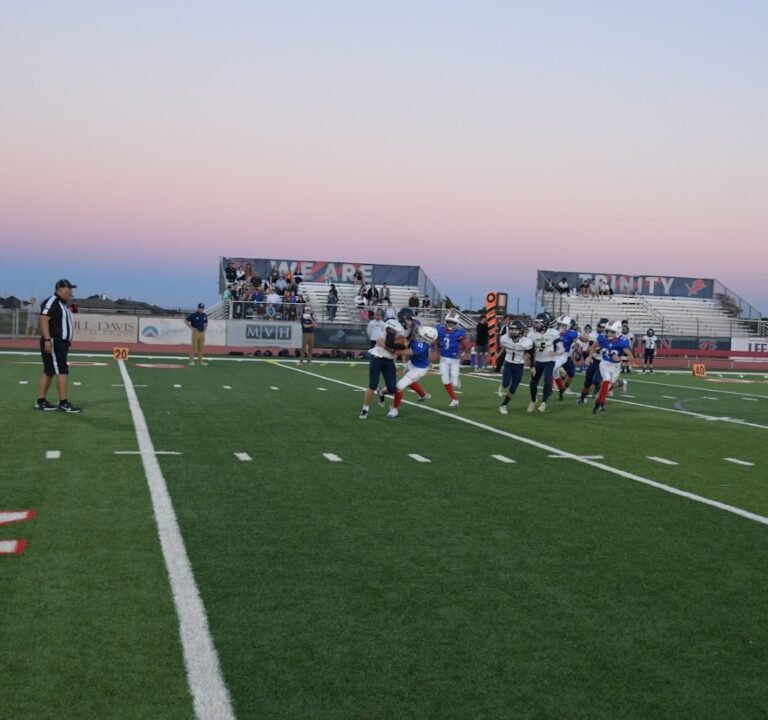 Soccer Field image 2